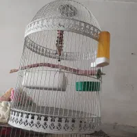 قفس پرنده با لوازم