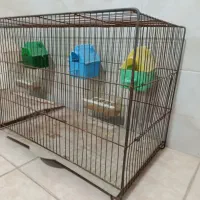 قفس پرون بزرگ