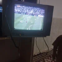 تلویزیون 14