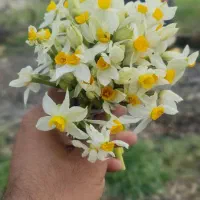 واگذاری مغازه پارچه فروشی در قلب بازار