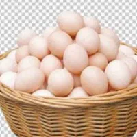 تخم مرغ محلی اصل با دوغ محلی