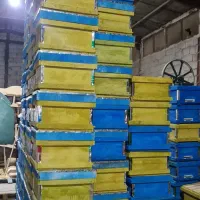 کندوی زنبور عسل نقد و اقساط