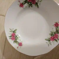 بشقاب خورشت خوری گل سرخ