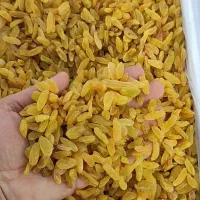 مرغوبترین کشمش|خوردنی و آشامیدنی|نیشابور, باغرود|دیوار