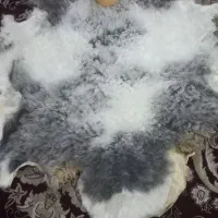 پشم خشک شده گوسفند