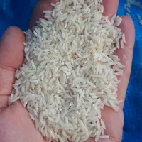 برنج هاشمی محصول زمین خودم تازه کوب سورتینگ شده