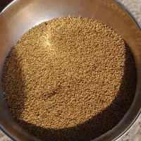 بذر یونجه درجه یک پا بلند ضمانتی بدون کوچکترین عیب