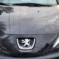 پژو ۲۰۷ فرمان برقی  فلز