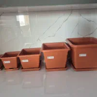 دکوری و تزئینی