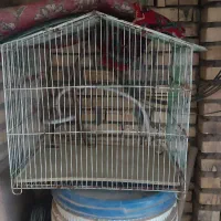 قفس پرنده