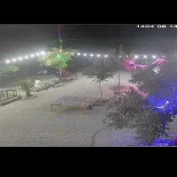 نیروی کار قهوه خانه