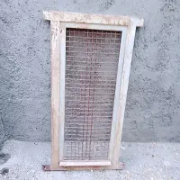 در قفس کبوتر یا مرغ