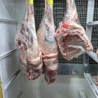 گوشت مرغ گوسفند گوساله