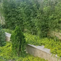 فروش  واحد تجاری وخدماتی