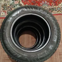 لاستیک دور۱۴