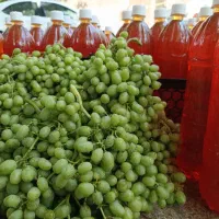آبغوره 100درصد بهداشتی وارگانیک