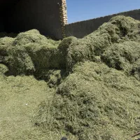 یونجه پاک