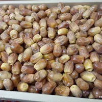 خرمای زاهدی(قصب) درجه یک