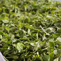 چای محلی دستی بهاره (خرید بدون واسطه)