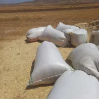 کاه تازه