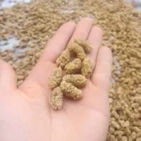 توت خشک رسمی مشهد درجه یک صادراتی