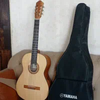 گیتار کاملا سالم