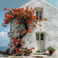 کلنگ۱۶۰متر/شهرک چشمه/دوکله/جنوبی/تاپ لوکیشن
