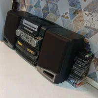 ضبط دو کاسته