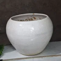 تعدادی گلدان خالی