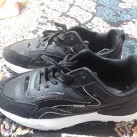 ۵۰۰ درحدنو ۴۳