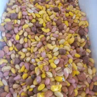 آجیل تازه  ۵ مغز شور