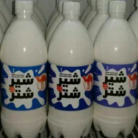 شیر و انواع لبنیات شتر