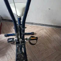 دوچرخه ثابت