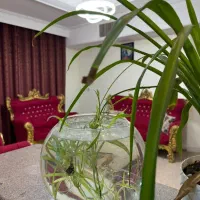 اجاره روزانه آپارتمان دولت آباد