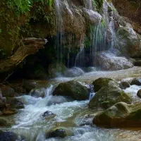 تور گردشگری یک روزه