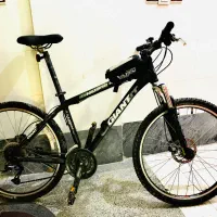 دوچرخه حرفه ای جیانت GIANT IGUANA