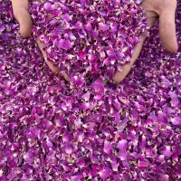 گل محمدی خشک شده امسال