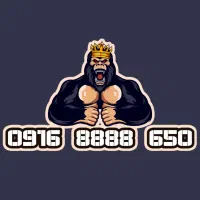 09168888650 خط رند