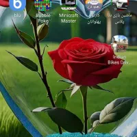 باربری باقیمت مناسب