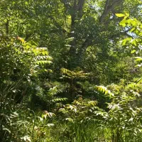 اجاره-ماهانه-واحد-مبله-روستایی