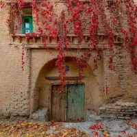 فروش زمین باغی