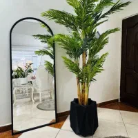درختچه های وارداتی به قیمت عمده