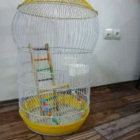 قفس پرنده