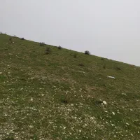 زمین مسکونی درصالح اباد