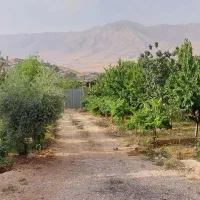 فروش باغ ویلا با مجوز هتل آپارتمان تبدیلی