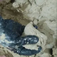 خمیر هنری پاپیه ماشه جهت ساخت، لوستر، میز، شلف