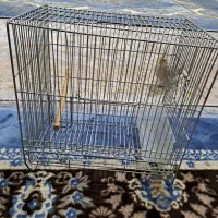قفس پرنده