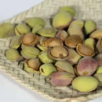 بادام تلخ