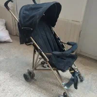 کالسکه عصایی