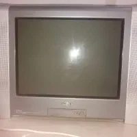 تلوزیون